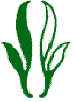 Holistic Management